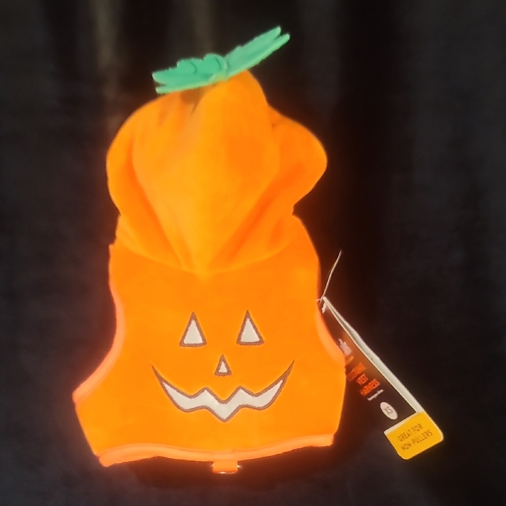 Vibrant Orange and Green Dog Pumpkin Outfit with 3D Design